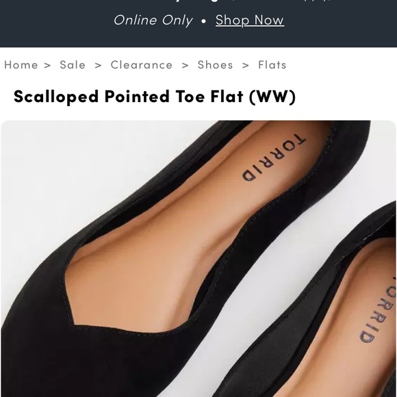 Scalloped Pointed Toe Flat (WW) - Picture 2 of 5